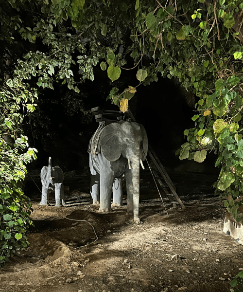 interior-designers-in-palm-beach-are-in-awe-of-the-Elephants-at-Sabah-Family-Farm